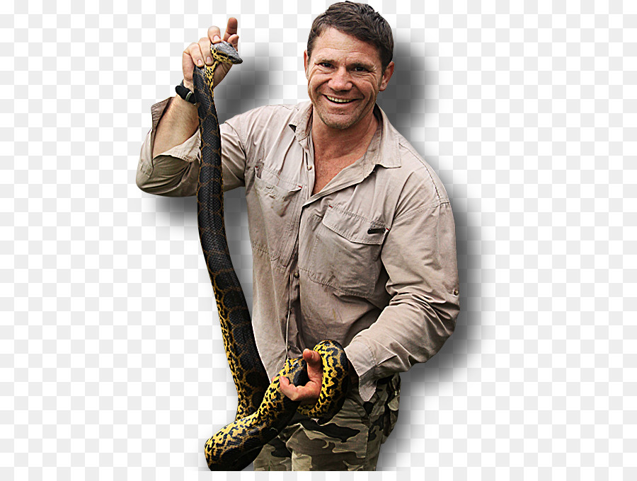 Serpent，Steve Doit PNG