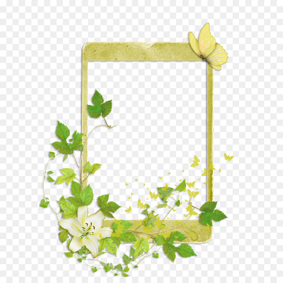 Cadre Photo，Fleurs PNG