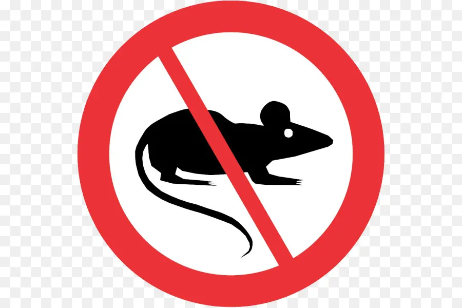 Pas De Rats Ni De Cafards，Ravageur PNG