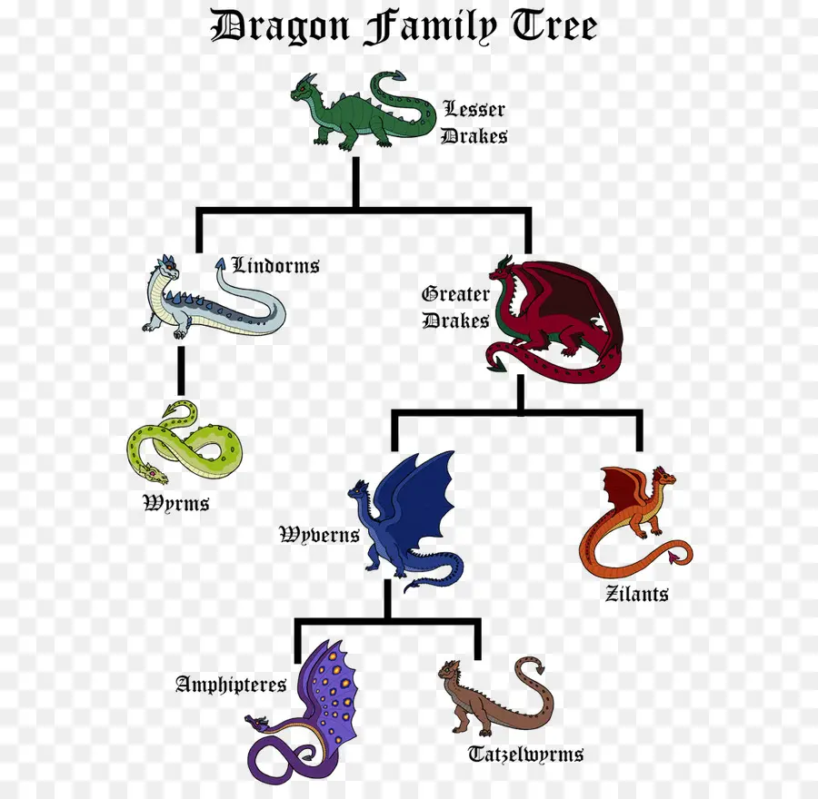 Arbre Généalogique Des Dragons，Fantaisie PNG