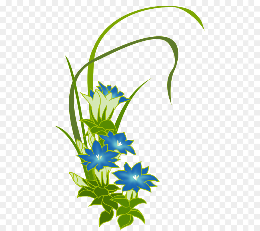 Gentiana Acaulis，Fleur PNG