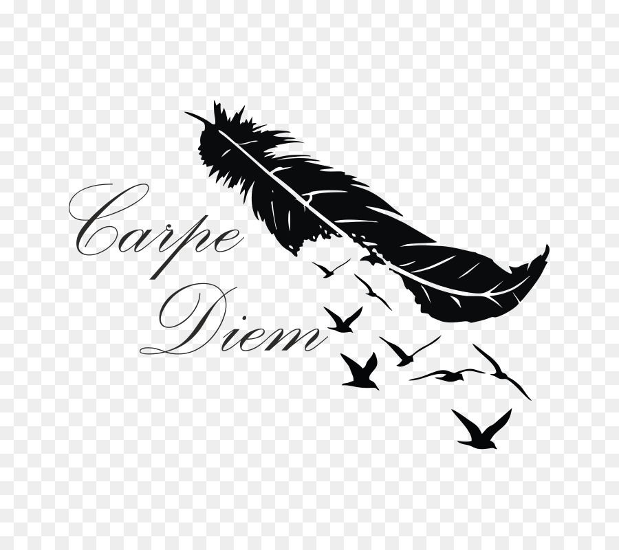 Plume Oiseau Tatouage Png Plume Oiseau Tatouage