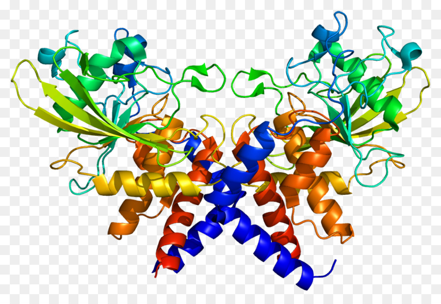 Une Protéine De Réplication，La Protéine De Réplication A3 PNG