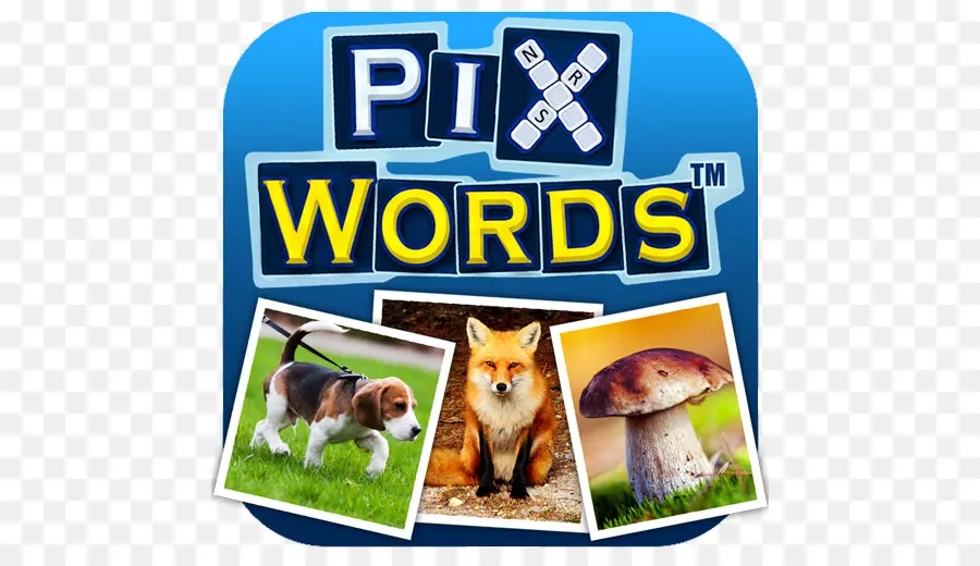 Logo Pixwords，Jeu PNG