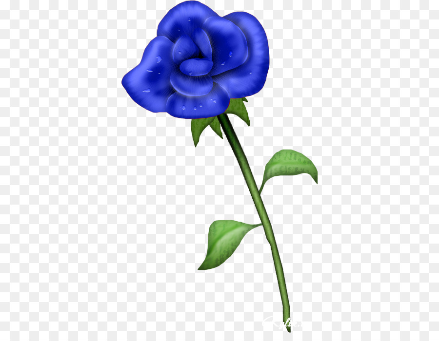 Rose Bleue，Fleurir PNG