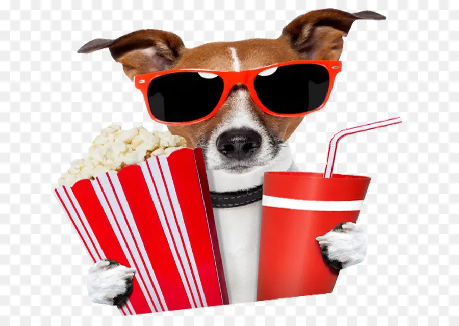 Chien Avec Pop Corn Et Boisson，Popcorn PNG