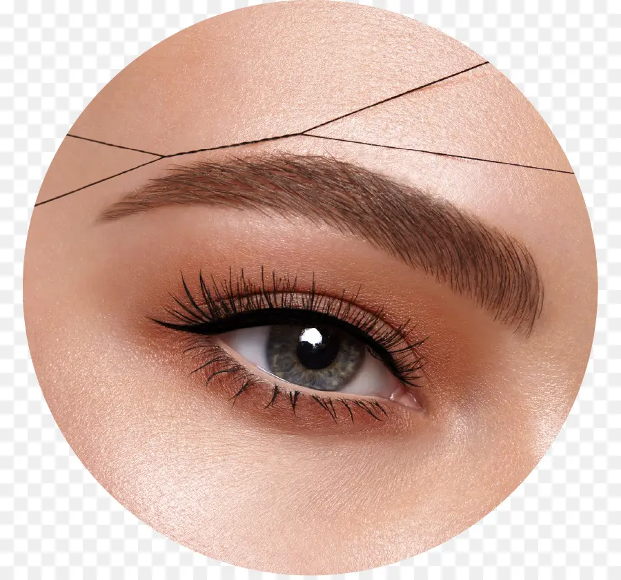 Maquillage Des Yeux，Sourcil PNG