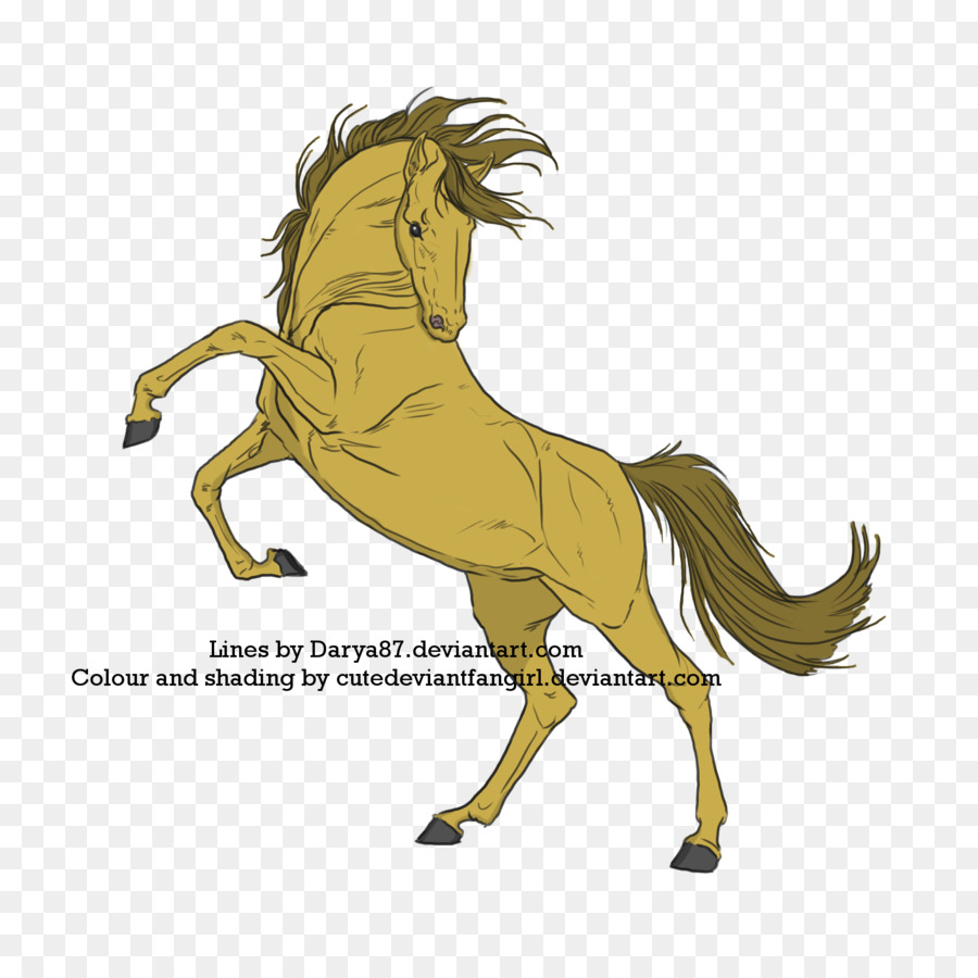 Mustang，Poney PNG