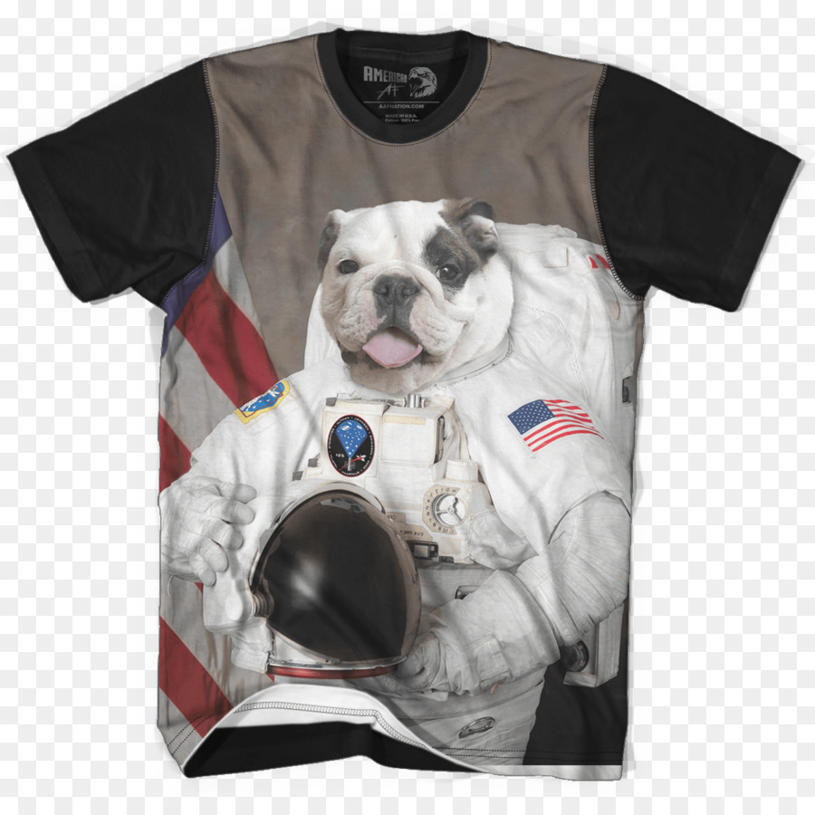 Tshirt，Terrier De Boston PNG