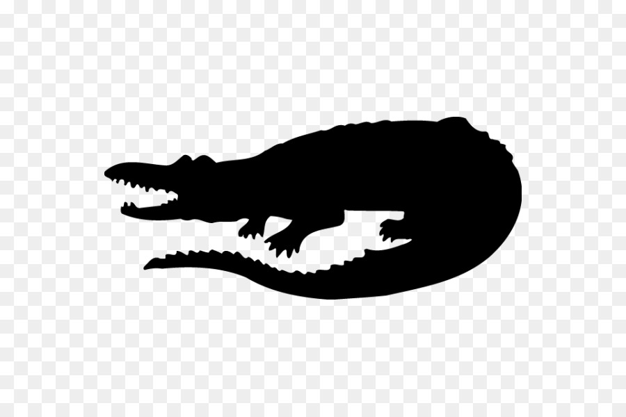 Silhouette De Crocodile，Reptile PNG