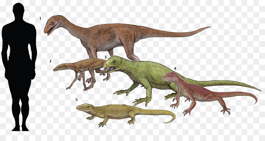 Reptile，Velociraptor PNG