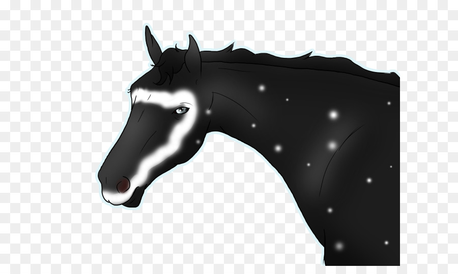 Cheval Noir，Crinière PNG