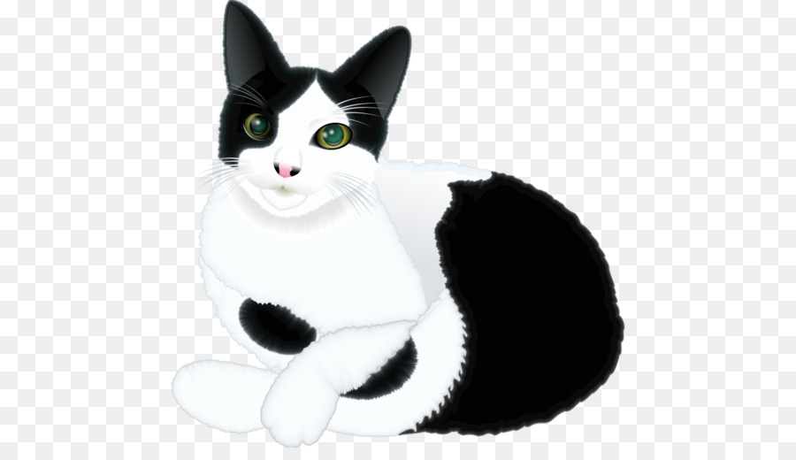 Chat，Noir Et Blanc PNG