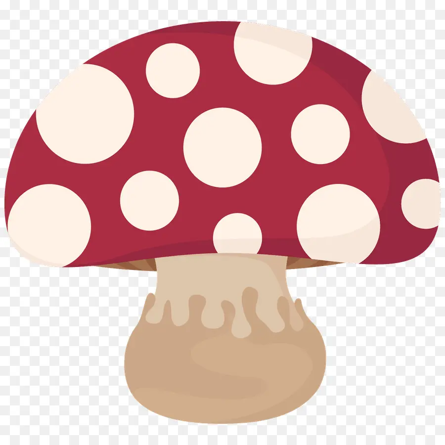 Champignons Colorés，Champignons PNG