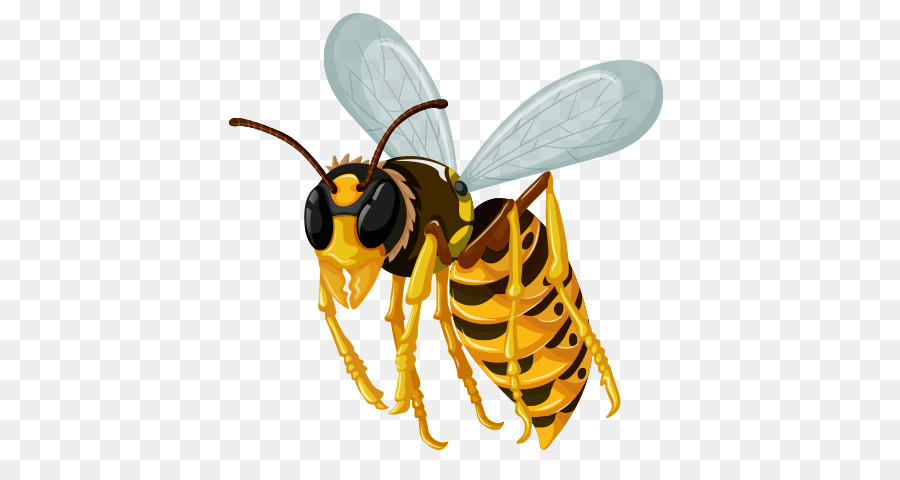 Guêpe Jaune Et Noire，Ailes PNG