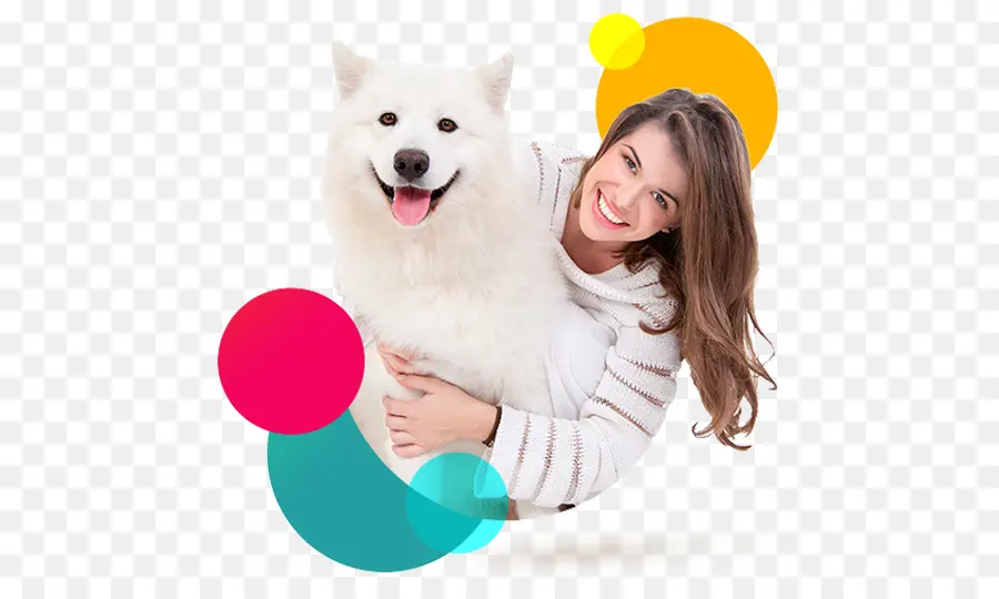 Femme Avec Chien，Animal De Compagnie PNG