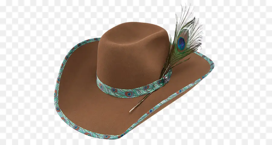 Chapeau De Cowboy Marron，Plume PNG