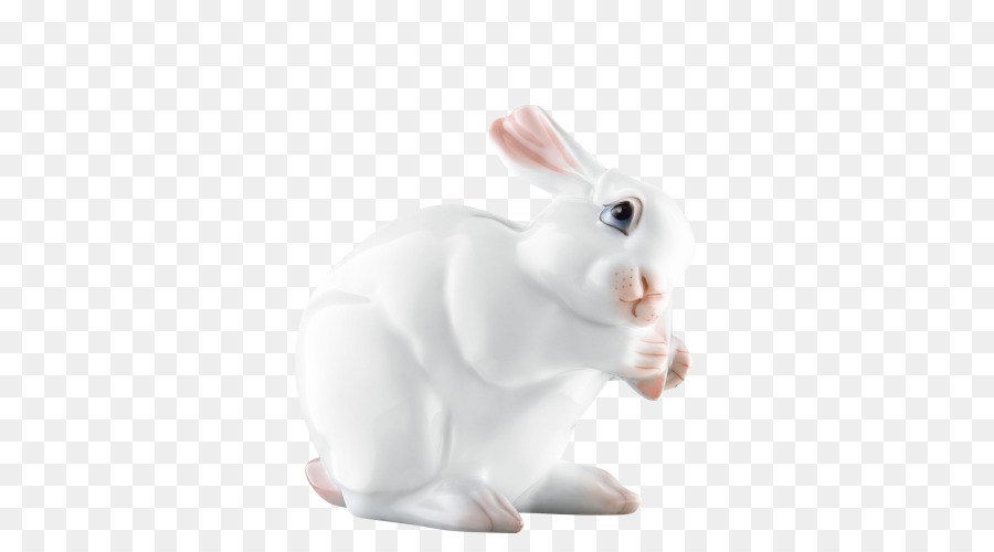 Lapin Blanc，Lapin PNG