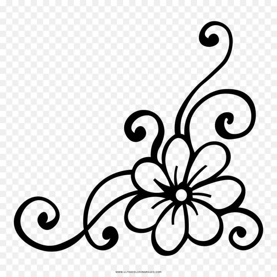 Conception Florale，Fleur PNG