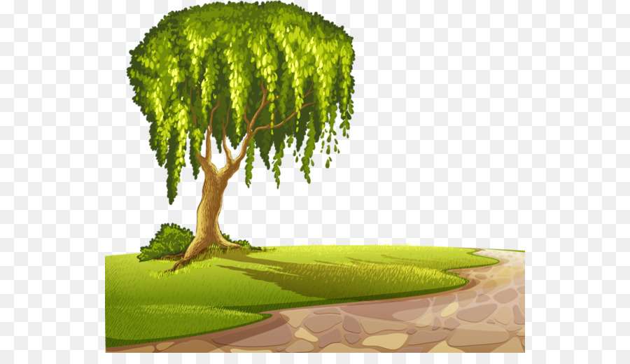 Arbre Vert，Nature PNG