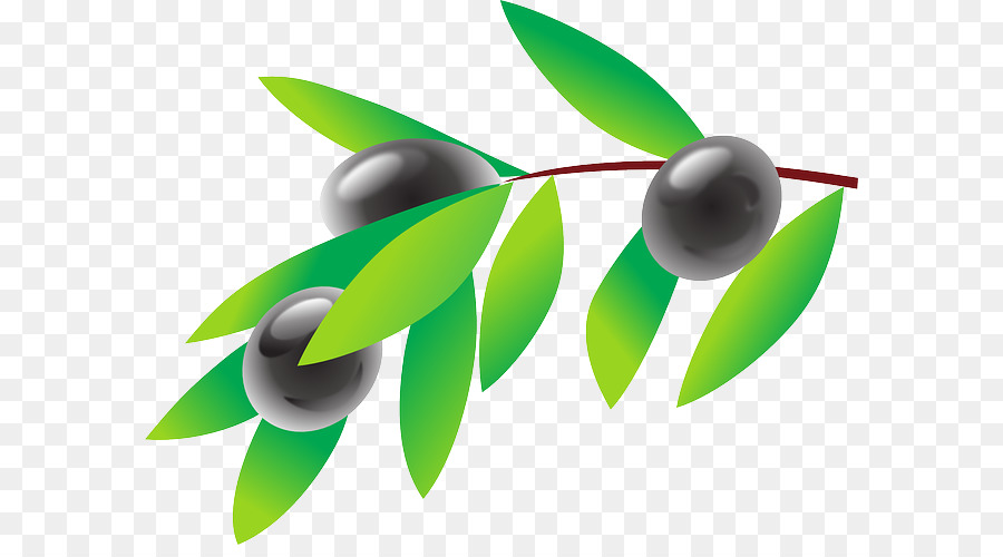 Olive，Martini PNG
