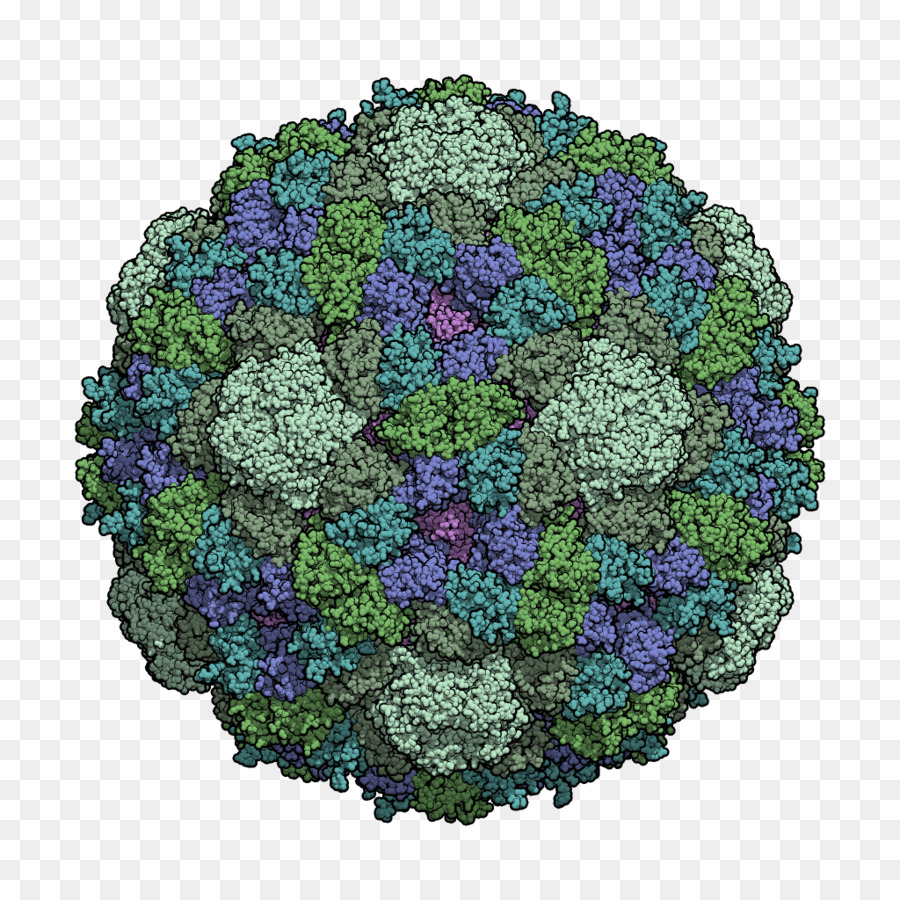 Particule Virale，Microscopique PNG