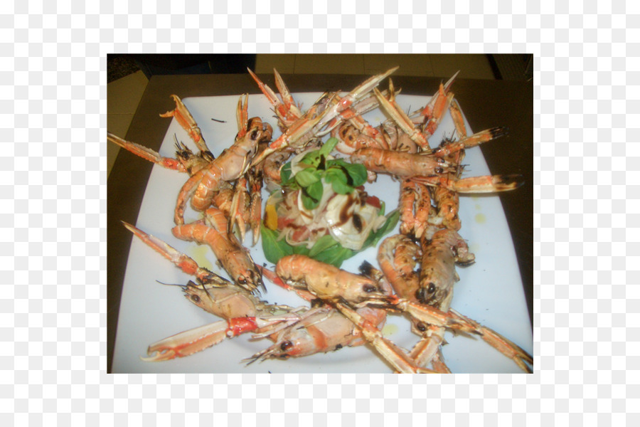 Crevettes，Brochette PNG