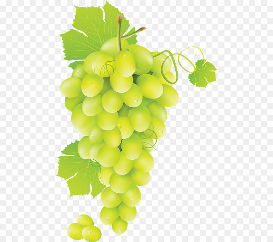 Raisins，Vert PNG