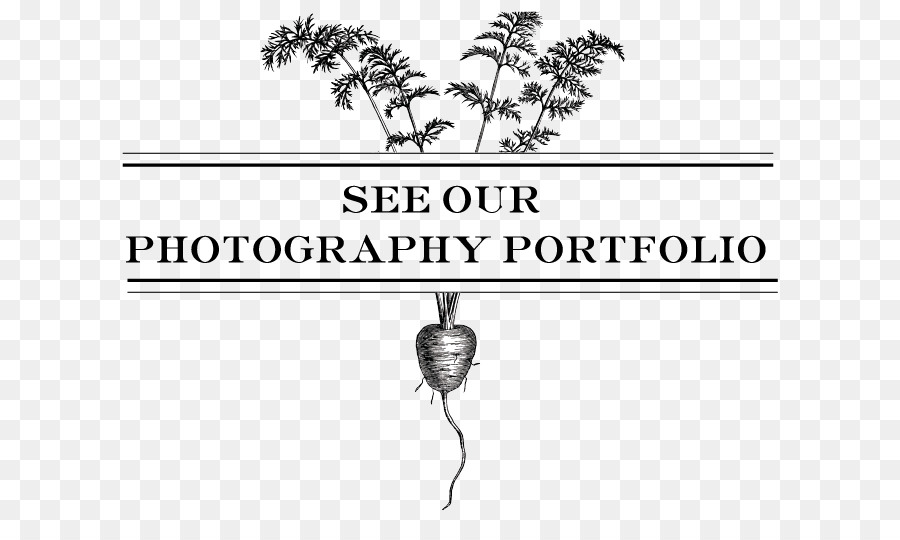 Portefeuille De Photographie，Photographie PNG