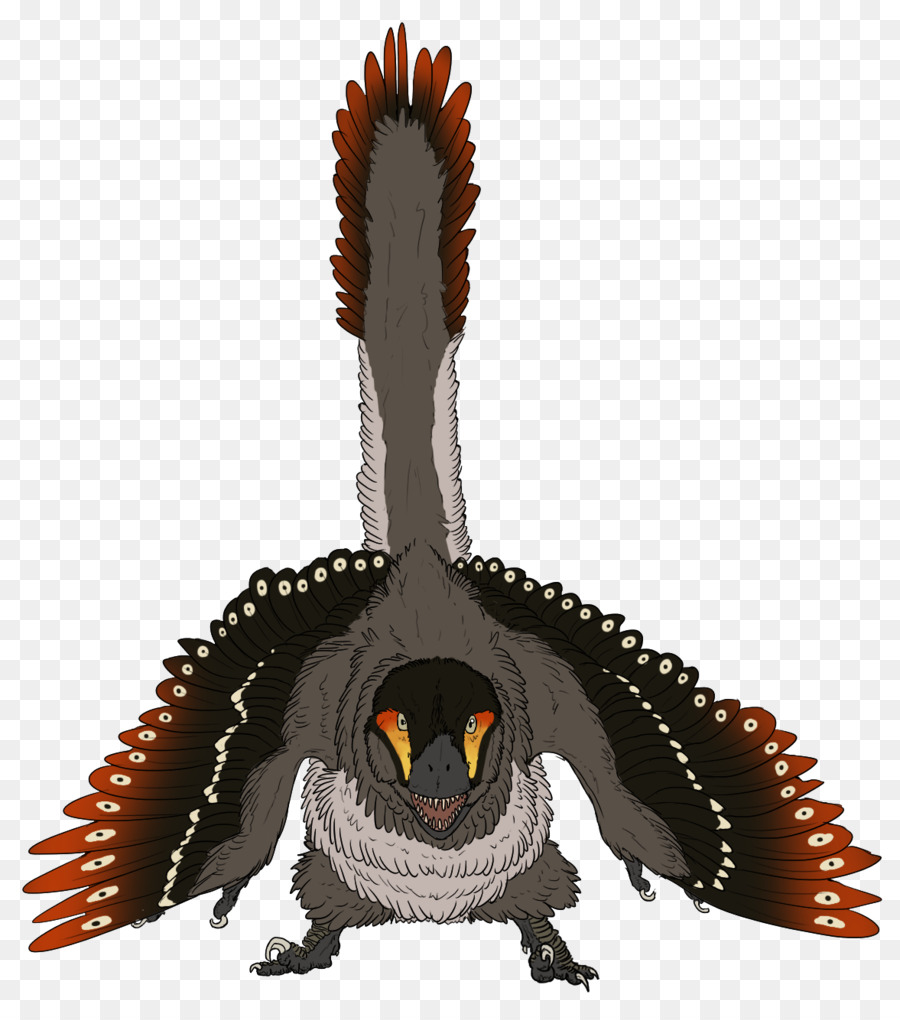 Velociraptor，Buitreraptor PNG