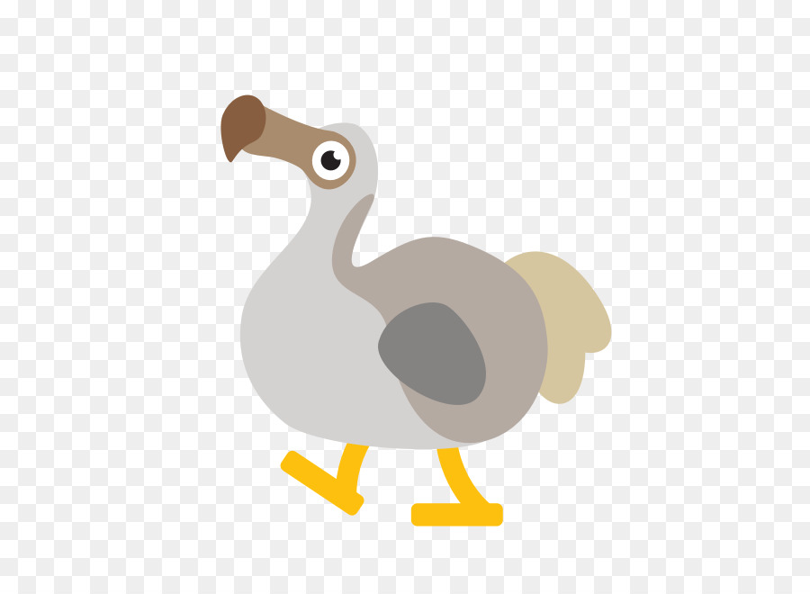 Canard，Oiseau PNG