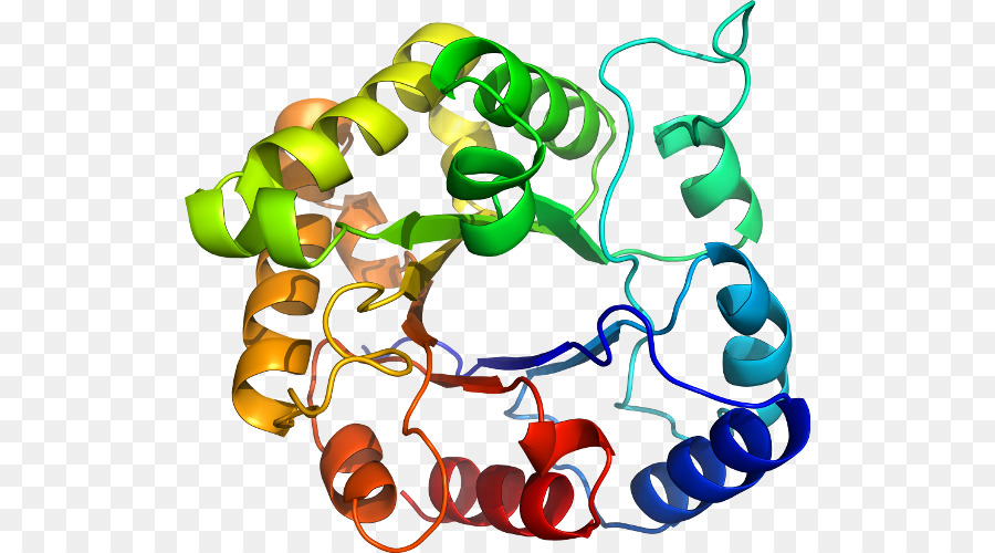 Structure Des Protéines，Biologie PNG