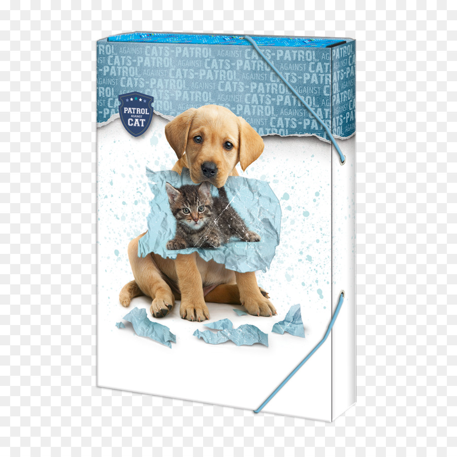 Golden Retriever，Le Labrador Retriever PNG