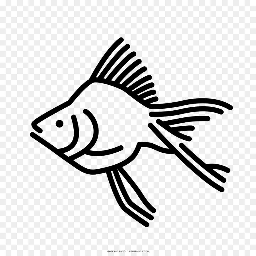 Poisson，Aquatique PNG