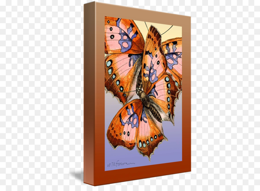 Papillon Monarque，Papier PNG