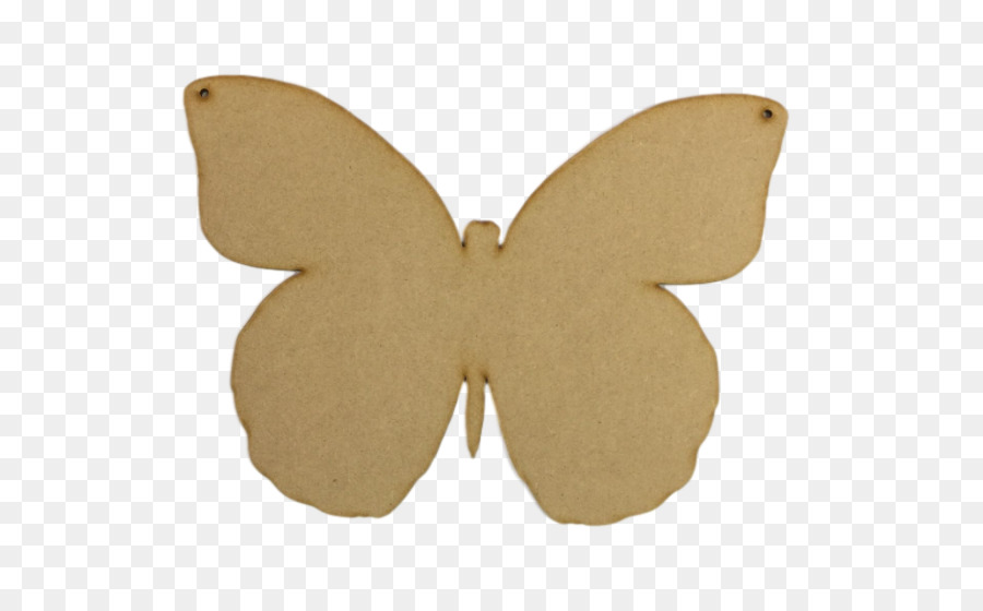 Papillon，Babillard PNG