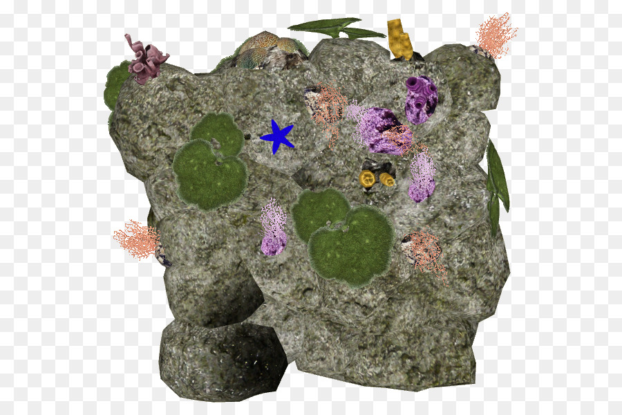 Mur，Vivarium PNG