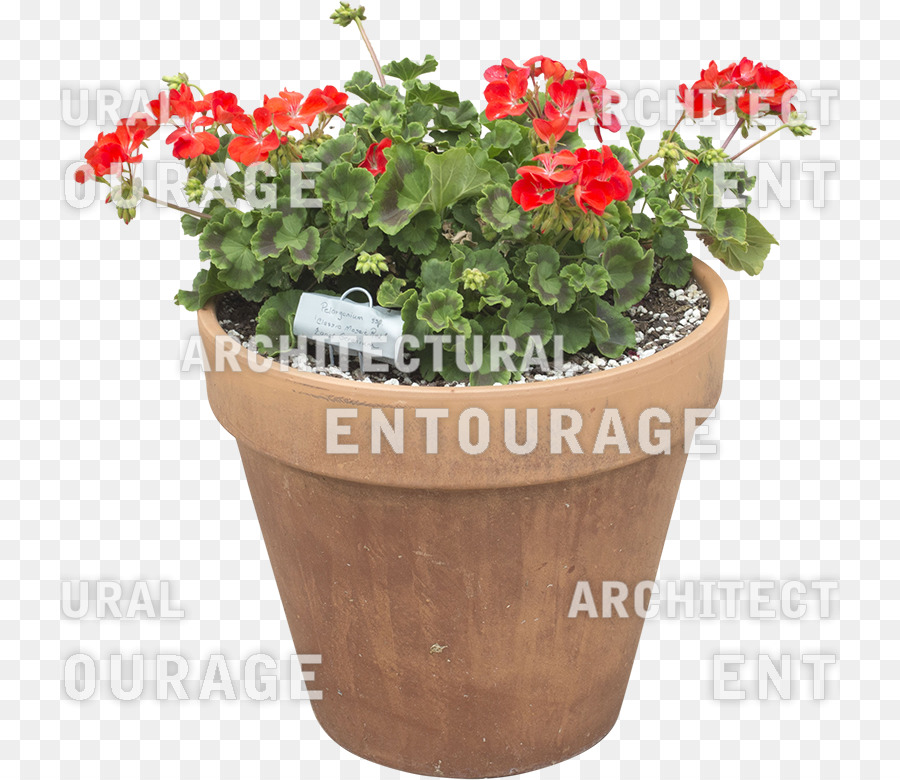 Flowerpot，Fleurs Artificielles PNG