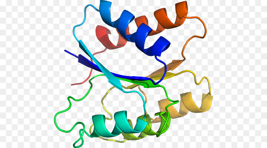 Hélice Protéique，Molécule PNG