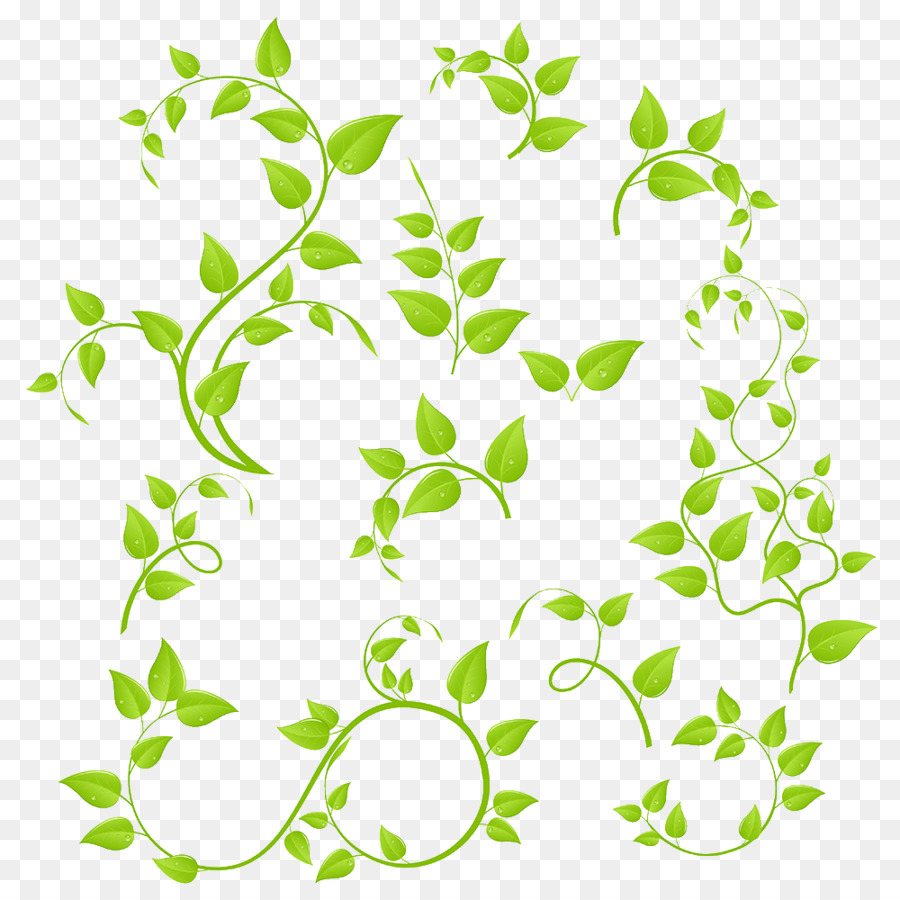 Plante Abstraite，Feuilles PNG