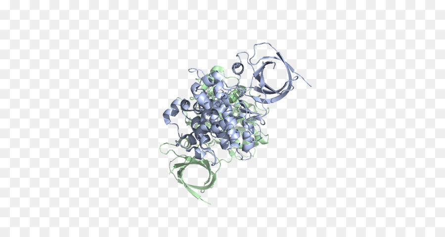 Structure Des Protéines，Molécule PNG