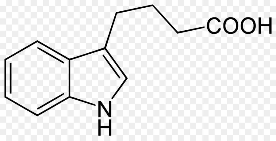 Indole3butyric Acide，L Auxine PNG