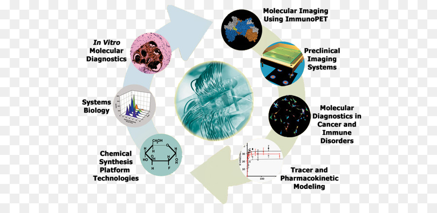 Imagerie Moléculaire，Biologie Moléculaire PNG