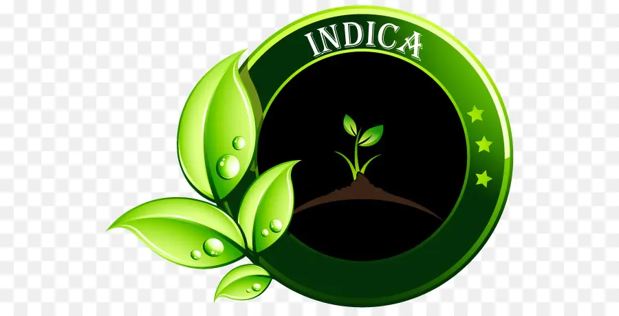 Indica，Usine PNG