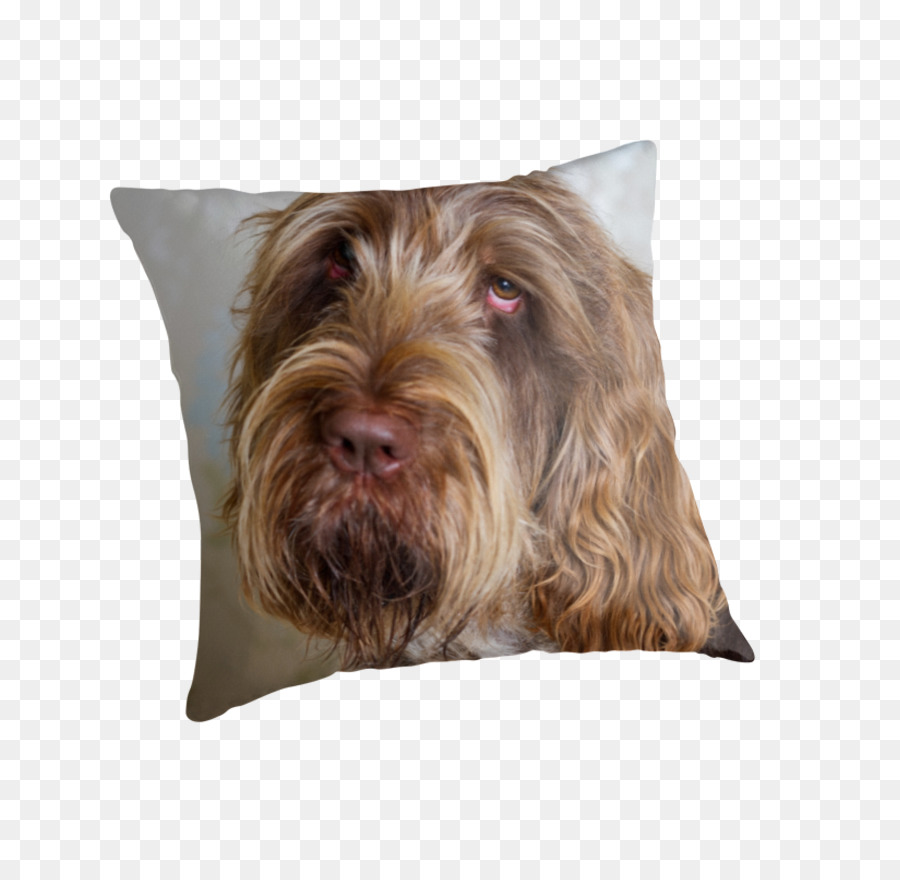 Glen，Wirehaired Griffon De Pointage PNG