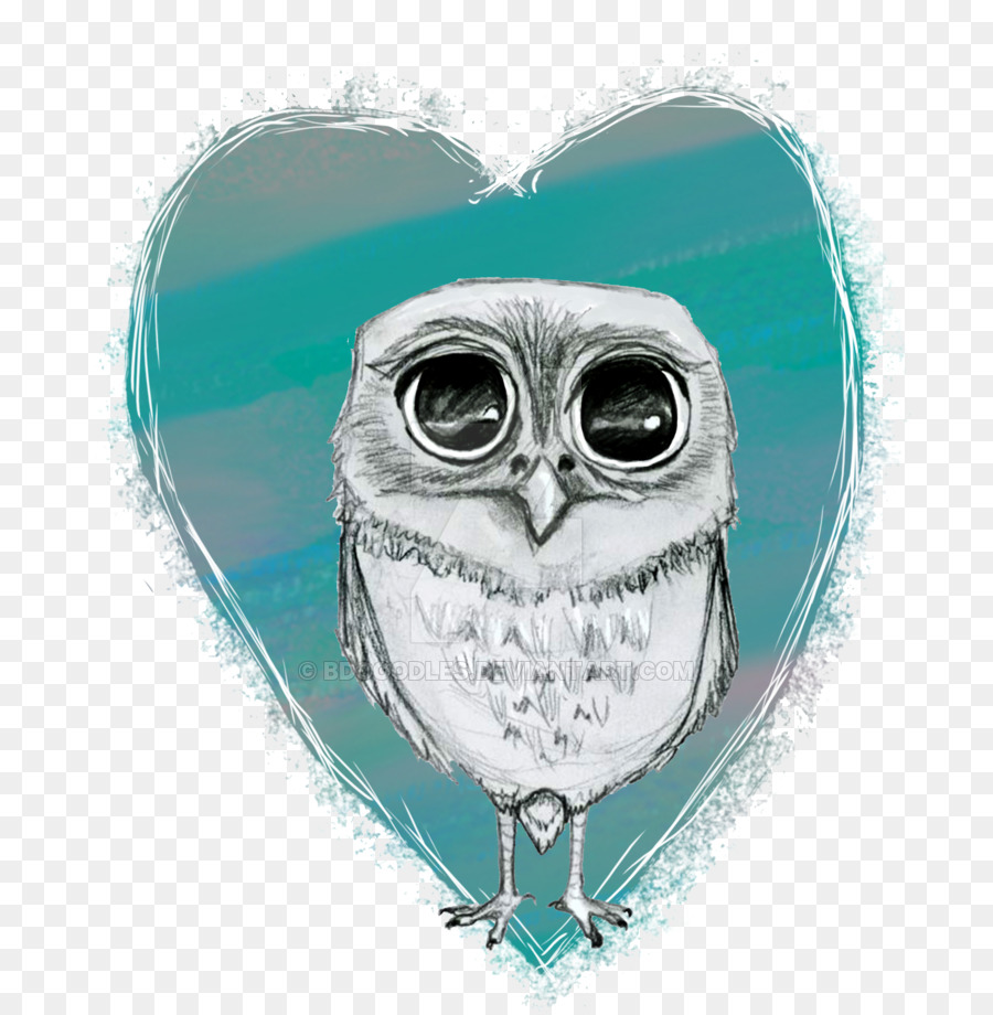 Hibou，Turquoise PNG