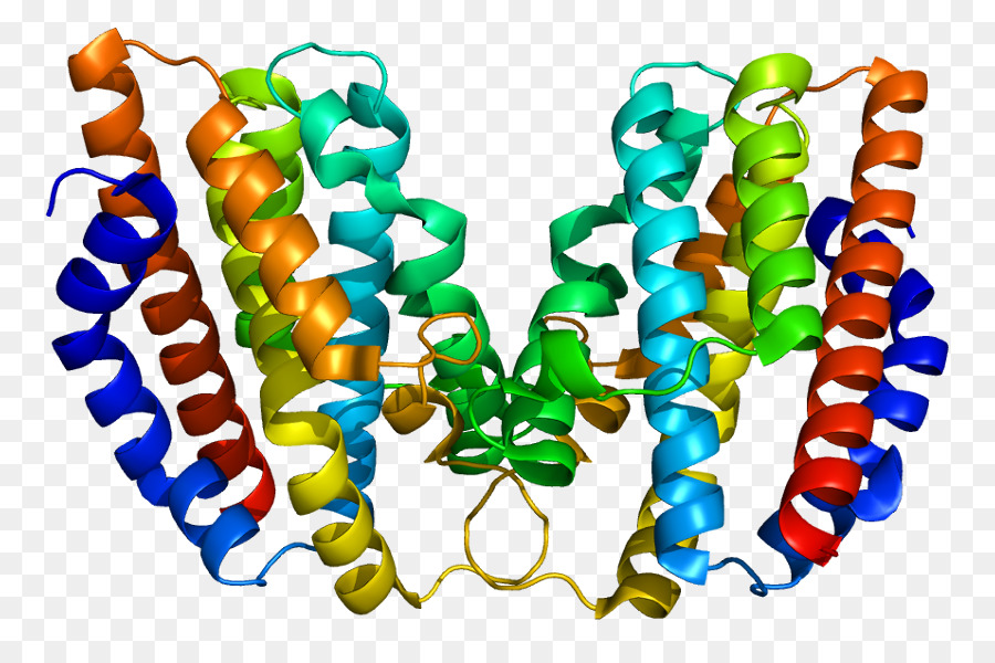 Hmox1，L Hème Oxygénase PNG