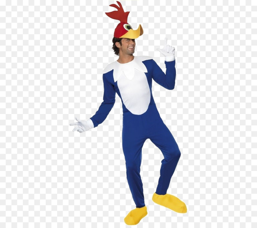 Déguisement De Pic，Costume PNG