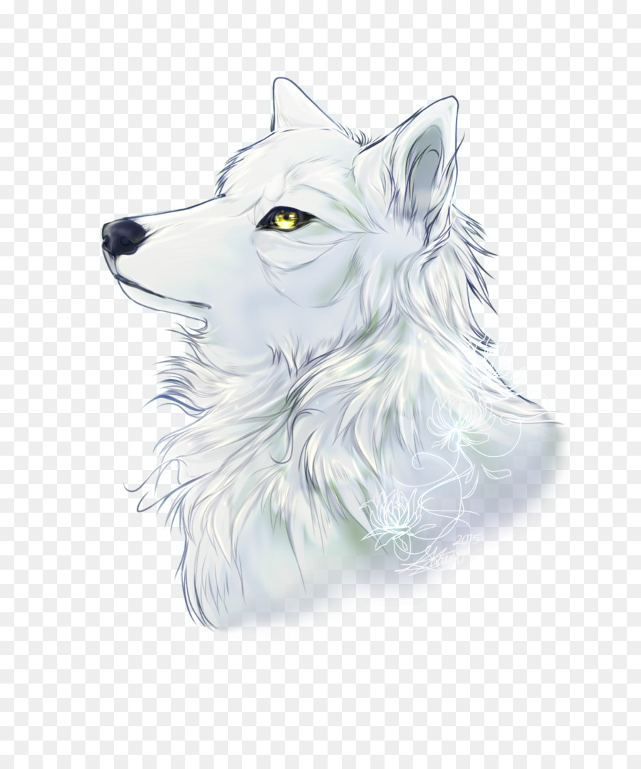 Loup Blanc，Fourrure PNG