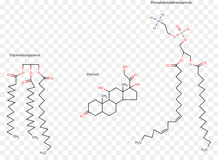 Structures Chimiques，Molécules PNG